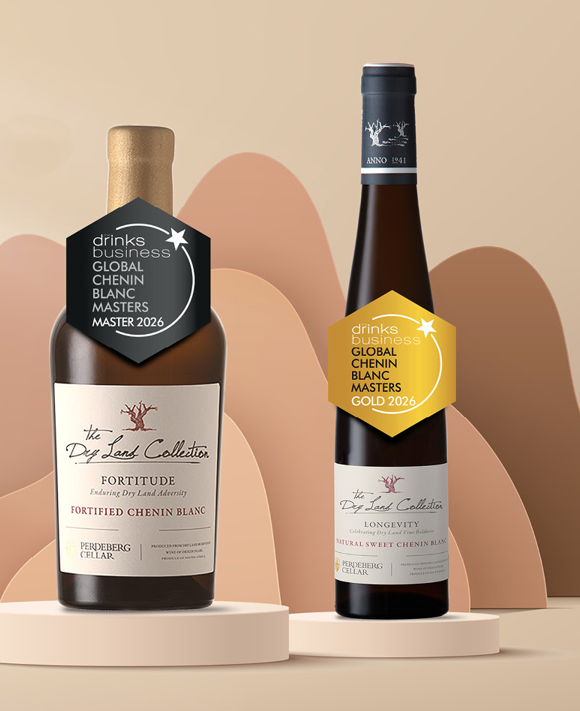 A Master at the Global Chenin Blanc Masters 2026