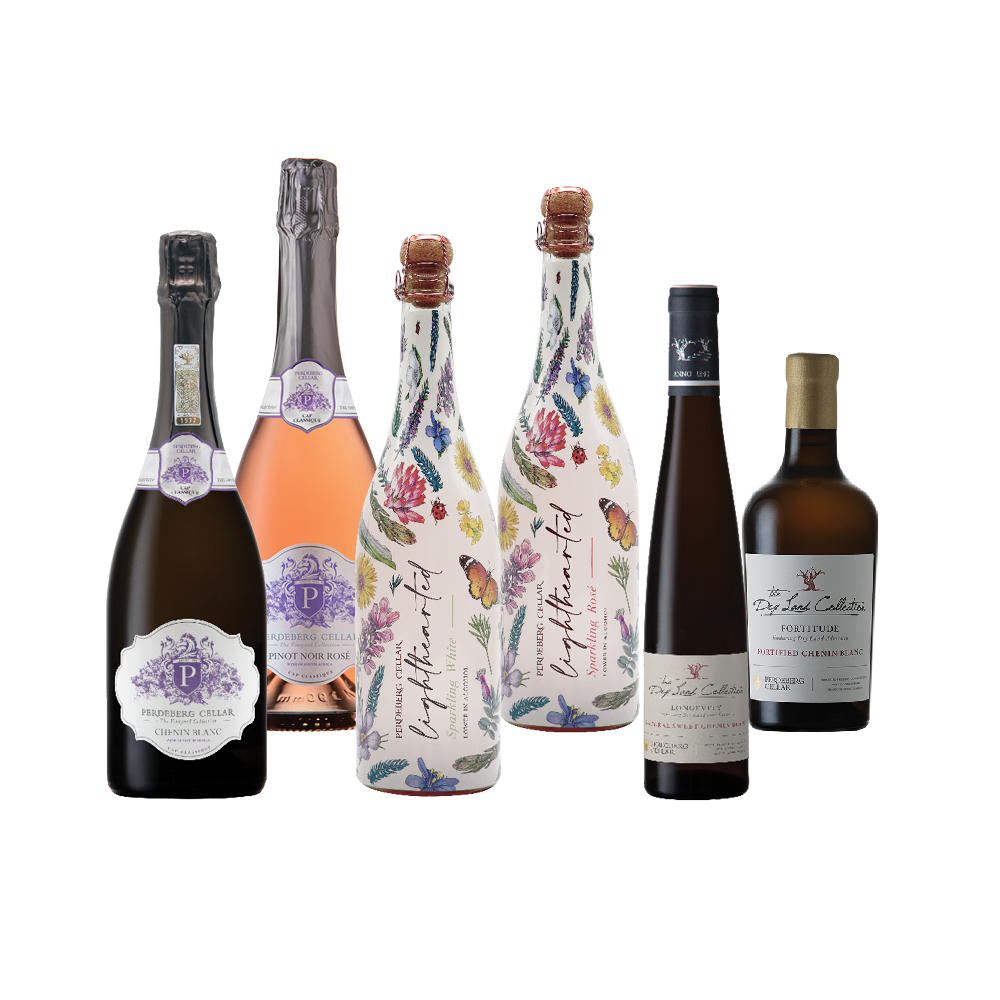 Week 4: The Countdown to Celebration