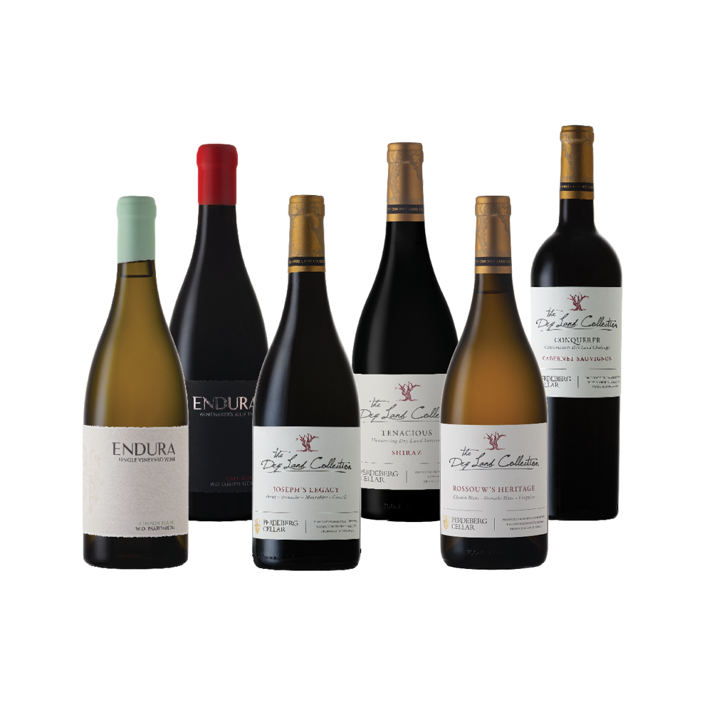 Week 3: Family Feast